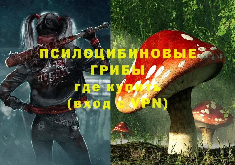 наркотики  это официальный сайт  Галлюциногенные грибы Psilocybine cubensis  Зима 